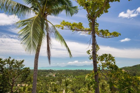 5 dormitorios Villa en Ko Samui, Thailand No. 254 14