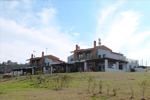 540m² Maisonnette à Chalkidiki, Greece No. 58898 2