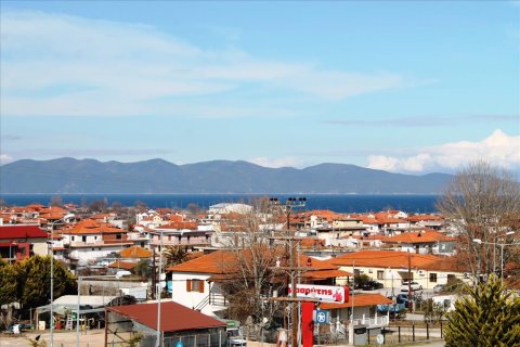 540m² Maisonnette à Chalkidiki, Greece No. 58898 15