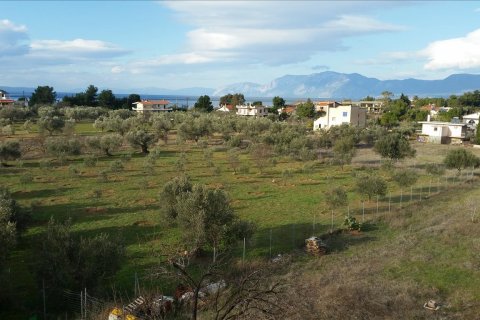 6 chambres Villa à Euboea, Greece No. 58896 1