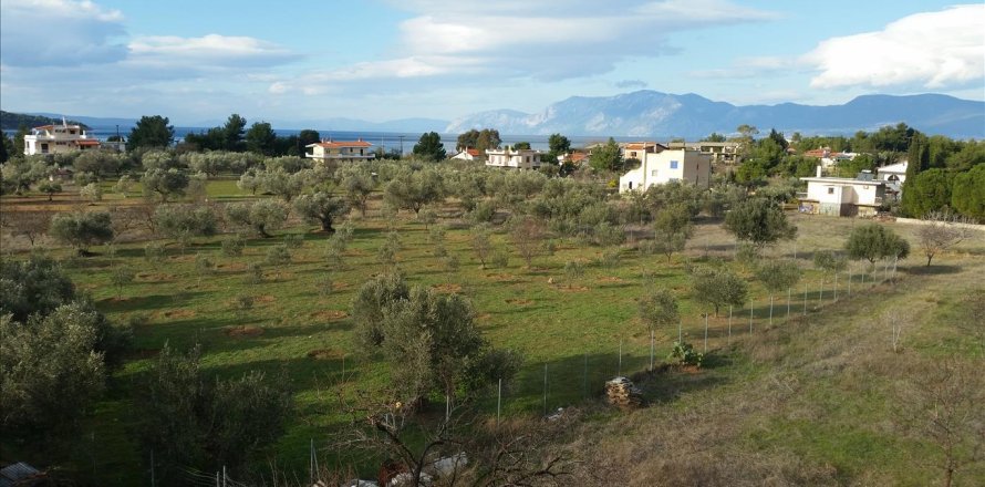 6 dormitorios Villa en Euboea, Greece No. 58896