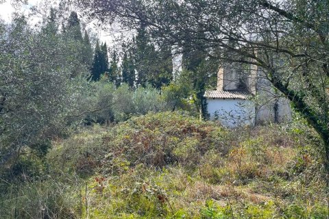 12000m² Land in Corfu, Greece No. 55133 9