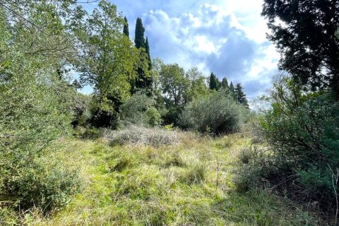 12000m² Land in Corfu, Greece No. 55133 5