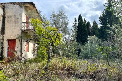 12000m² Land en Corfu, Greece No. 55133 7