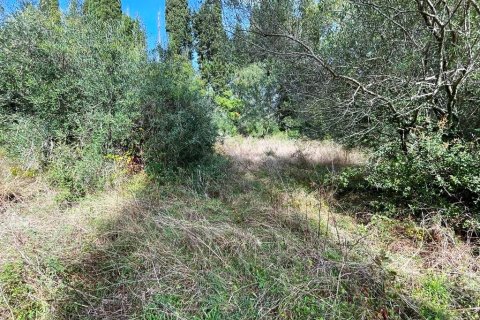 12000m² Land in Corfu, Greece No. 55133 13