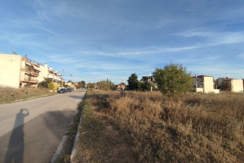 3000m² Land in Thessaloniki, Greece No. 55130 1