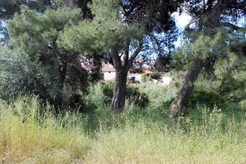 1400m² Land en Chalkidiki, Greece No. 60371 2