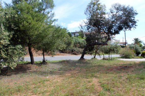 1400m² Land en Chalkidiki, Greece No. 60371 3