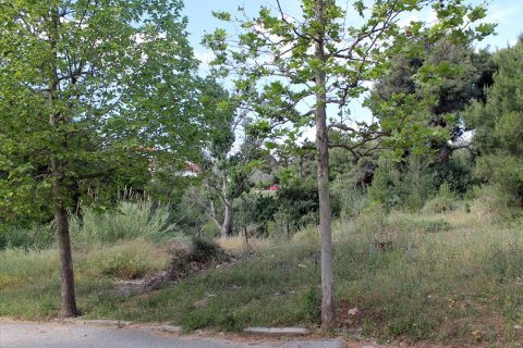 1400m² Land en Chalkidiki, Greece No. 60371 5