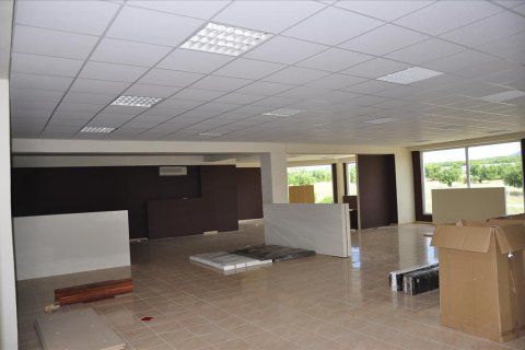 1250m² Business in Polygyros, Greece No. 60372 6