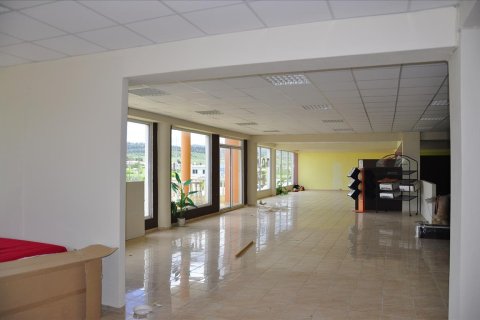 1250m² Negocio en Polygyros, Greece No. 60372 8