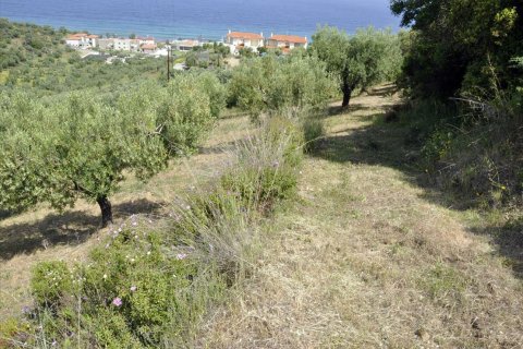 3750m² Land in Chalkidiki, Greece No. 60373 5