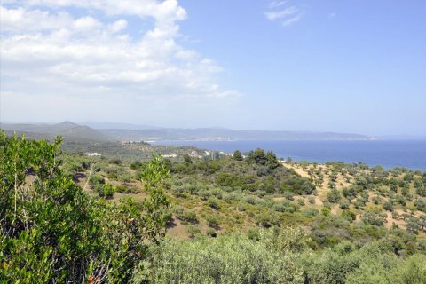 3750m² Land in Chalkidiki, Greece No. 60373 6