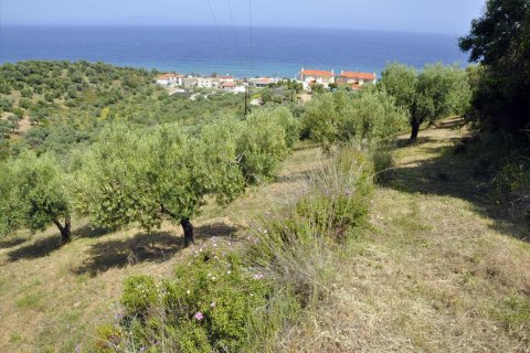 3750m² Land in Chalkidiki, Greece No. 60373 1