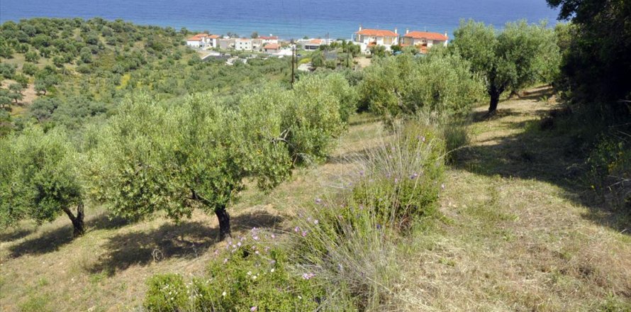 3750m² Land in Chalkidiki, Greece No. 60373