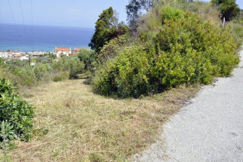 3750m² Land in Chalkidiki, Greece No. 60373 2