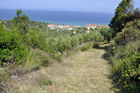 3750m² Land in Chalkidiki, Greece No. 60373 3