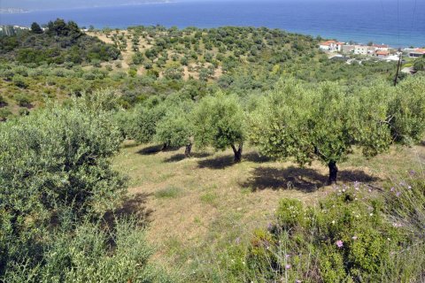 3750m² Land in Chalkidiki, Greece No. 60373 8