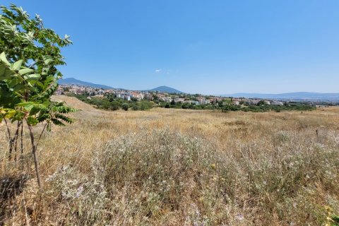 4200m² Land in Pylaia, Greece No. 54345 6