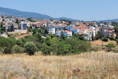 4200m² Land in Pylaia, Greece No. 54345 1