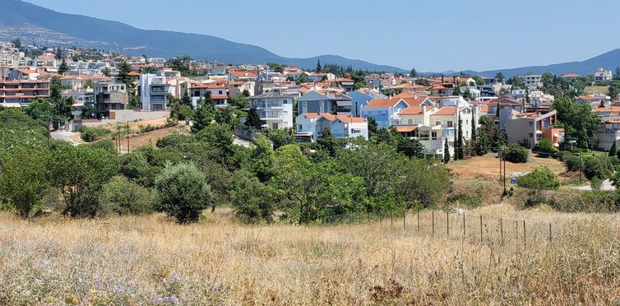 4200m² Land in Pylaia, Greece No. 54345