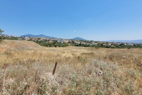 4200m² Land in Pylaia, Greece No. 54345 5