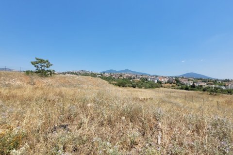 4200m² Land in Pylaia, Greece No. 54345 4