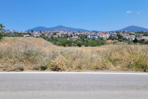 4200m² Land in Pylaia, Greece No. 54345 2