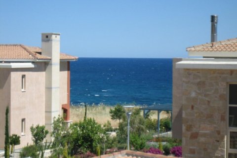 Apartamento tipo estudio Estudio en Paphos, Cyprus No. 48157 5