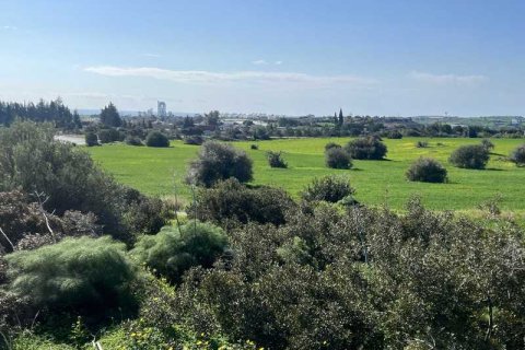 17600m² Land à Kalavasos, Cyprus No. 45064 6