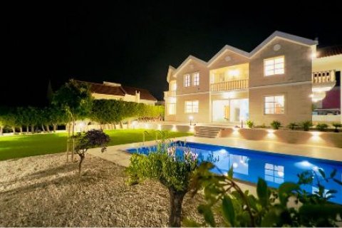 5 bedrooms Villa in Limassol, Cyprus No. 37978 1