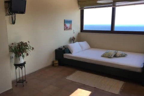 6 rooms Villa in Lasithi, Greece No. 51612 10