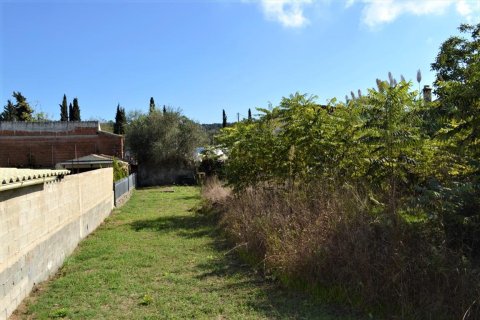 2200m² Land à Corfu, Greece No. 56902 6