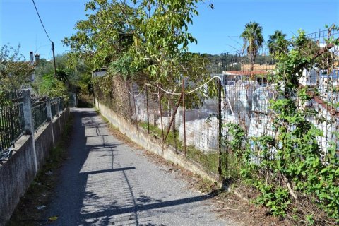 2200m² Land in Corfu, Greece No. 56902 5