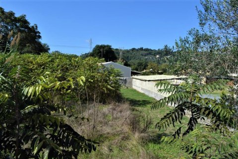 2200m² Land in Corfu, Greece No. 56902 8