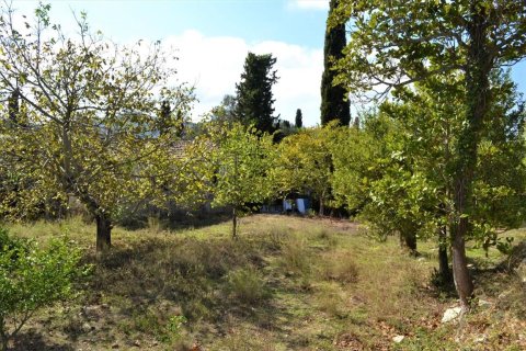 4200m² Land en Corfu, Greece No. 56903 4