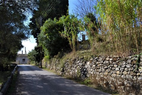 4200m² Land in Corfu, Greece No. 56903 11