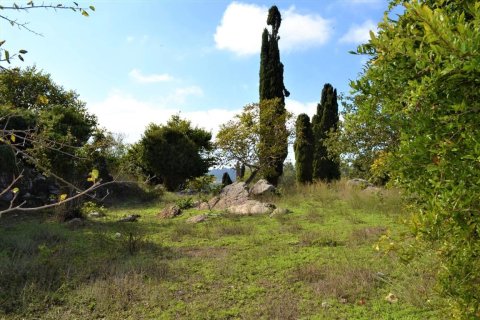 4200m² Land à Corfu, Greece No. 56903 2