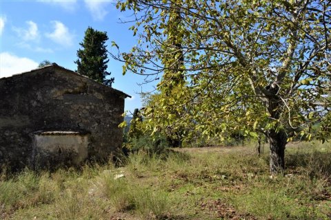 4200m² Land en Corfu, Greece No. 56903 7