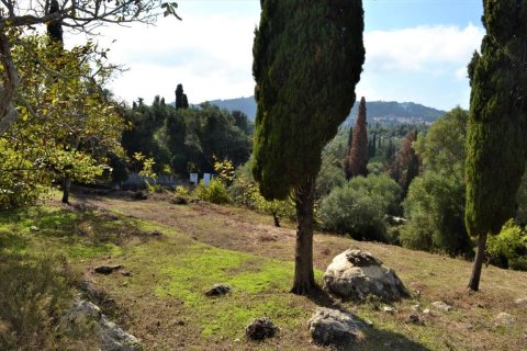 4200m² Land in Corfu, Greece No. 56903 3