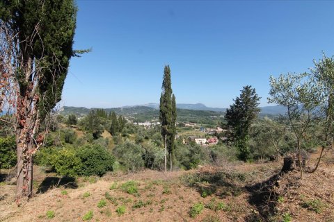 32000m² Land in Corfu, Greece No. 58614 11