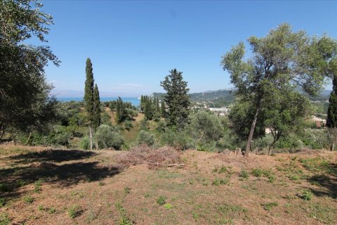 32000m² Land en Corfu, Greece No. 58614 8