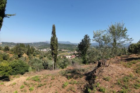 32000m² Land in Corfu, Greece No. 58614 12