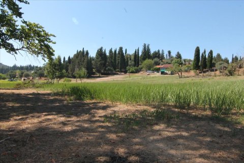 32000m² Land in Corfu, Greece No. 58614 3