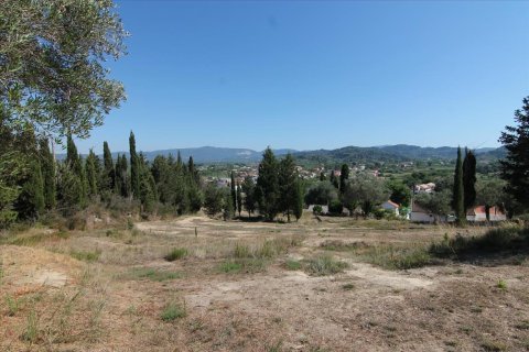 32000m² Land in Corfu, Greece No. 58614 4