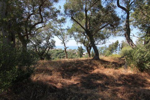 32000m² Land en Corfu, Greece No. 58614 10