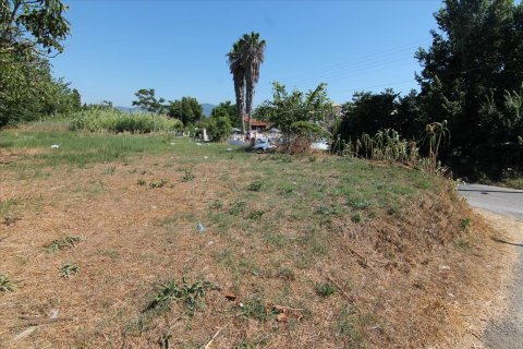 32000m² Land en Corfu, Greece No. 58614 1