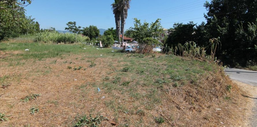 32000m² Land en Corfu, Greece No. 58614