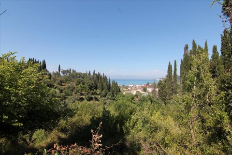 32000m² Land in Corfu, Greece No. 58614 5