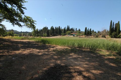 32000m² Land in Corfu, Greece No. 58614 2